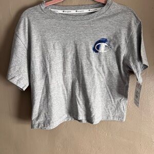 Champion Gray and Blue Short Sleeve Tee